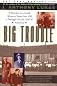 Big Trouble