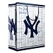 New York Yankees MLB Medium Gift Bag (9.75 Tall) by Pro Specialties Group
