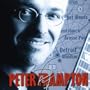 If You Say Goodbye (Live at Pine Knob Music Theatre, July 17, 1999)