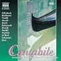 Cantabile: Cantabile in D major, Op. 17, MS 109 (arr. for violin and guitar)