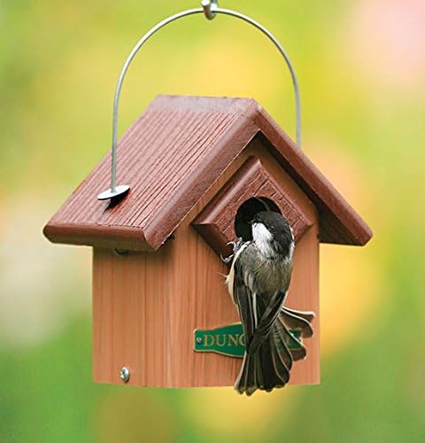 Duncraft Eco-Songbird Hanging Bird House