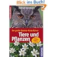Produkt-Information 