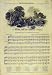 1847 Hymn Harvest Music-Score Song-Sheet Old Print