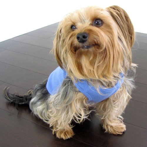 Harbor Blue Dog Shirt Small