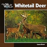 Whitetail Deer (Our Wild World Series)