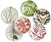 Rosanna Boho Holiday Dessert Plates, Set of 6
