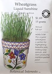 Wheatgrass Certified Organic Seeds 400 Seeds