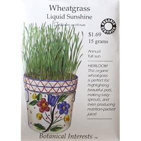 Wheatgrass Certified Organic Seeds 400 Seeds