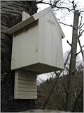 BAT BOX