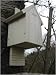 BAT BOX