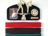 Sporting Goods : Martial arts belt display with a KICK ! Midn. trophy dbl.