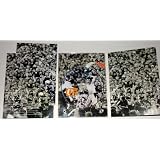 U2 Go Home - Live From Slane Castle (Limited Edition Packaging) ~ Bono