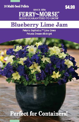 flower containers