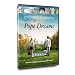 Search : Pope Dreams