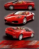F-430 Spider Poster Print, 16x20
