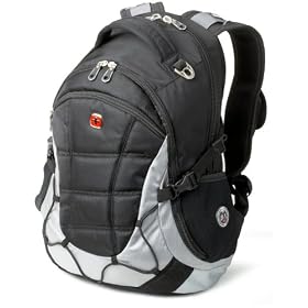 SwissGear Computer Backpack (Black/Light Gray)