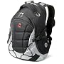 SwissGear Computer Backpack (Black/Light Gray)