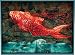 Koi Decorative Serving Tray By Rock, Flower, Paper