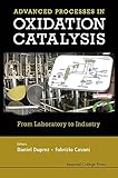 Handbook of advanced methods and processes in oxidation catalysis : from laboratory to industry