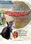 International Cat Video ~ Entertainment for cats and their loved ones