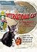 International Cat Video ~ Entertainment for cats and their loved ones