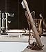 Briiith Acrylic Toothbrush Holder,Ring Dish Stand for Bathroom Vanity Countertops- Marsala,Brown