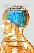 Search : A Memory Therapy & Study Guide For Dyslexia, Adhd, Learning Impairment & Poor Verbal Memory: Improve Your Verbal Memory