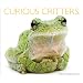 Curious Critters