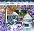 Washington DC Coverlet