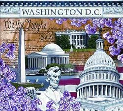 Washington DC Coverlet