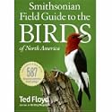 Smithsonian Field