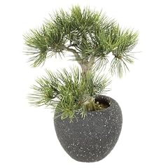Kunstpflanze Bonsai Zwergkiefer, H�he 40 cm