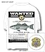 SLAM GEAR STRIPED BASS (STRIPER) WANTED - POCKET T SHIRT WHITE