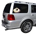 Washington Redskins Team Window Decal
