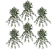SIX 30" Cissis Artificial Hanging Bushes