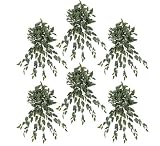 SIX 30" Cissis Artificial Hanging Bushes