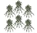 SIX 30" Cissis Artificial Hanging Bushes