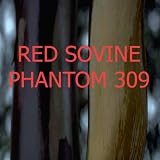 Phantom 309