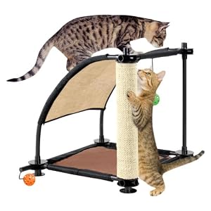 Kitty City Climbing Hill