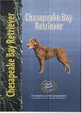 Chesapeake Bay Retriever