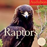 Raptors