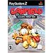 Video Games : Garfield Lasagna Tour