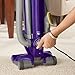 Eureka Pet Lover Oh! Upright Bagless Vacuum, 439AZ - Corded