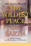 The Wildest Place on Earth: Italian Gardens and the Invention of Wilderness