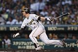 猛虎の魂2010　阪神タイガース　平成ダイナマイト打線起動 [DVD] 画像