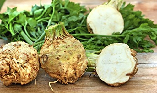 Rare Seeds Root Celery Makar Organic Russian Vegetable Heirloom Seed Rare Seeds Root Celery Makar Organic Russian Vegetable Heirloom Seed