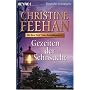 Gezeiten der Sehnsucht: Roman