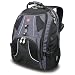 SwissGear Wired Laptop Backpack for 17-Inch Notebook (Black)