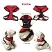 Puppia Soft Dog Harness No Choke Over-The-Head Triple Layered Breathable Mesh Adjustable Chest Belt and Quick-Release Buckle, Red, X-Small