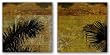 Palma I-II Set by Ivan Reyes 12"x36" Art Print Poster Latin